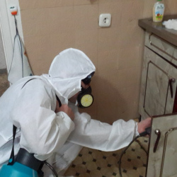 Дезинфекция от муравьев в квартире в Ртищево