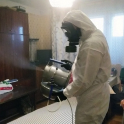 Дезинфекция от клопов в Ртищево