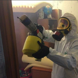 Уничтожение клопов в квартире. Ртищево